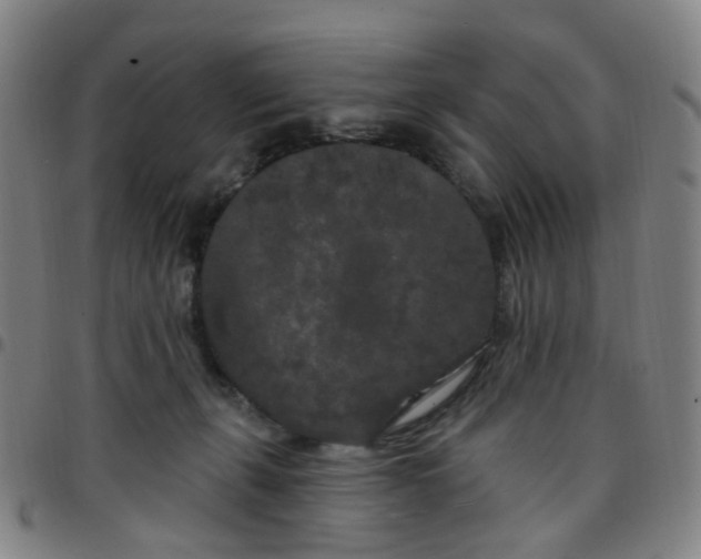 X0000097470271200803071700
