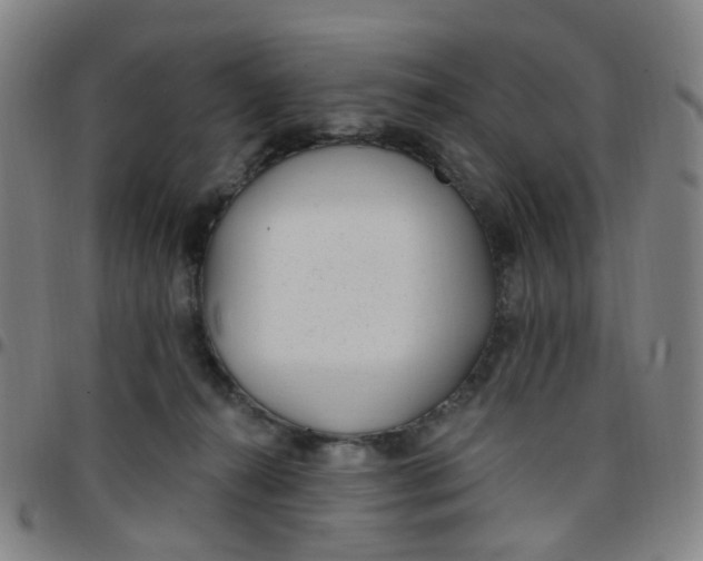X0000097470272200803071700