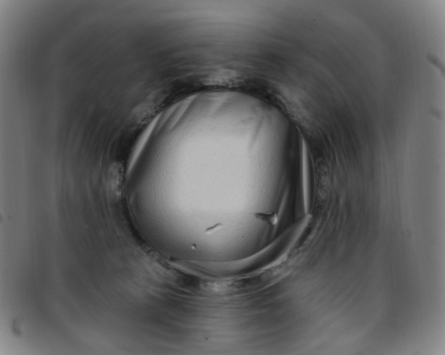 X0000097470273200803071700