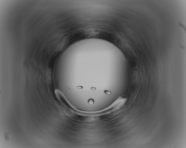 X0000097470274200803071700