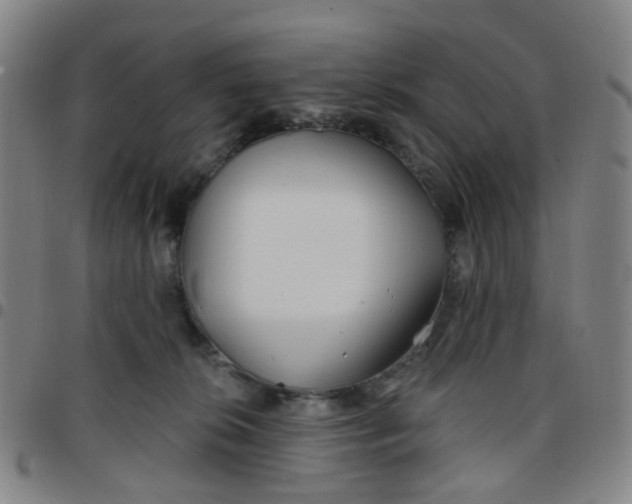 X0000097470276200803071700