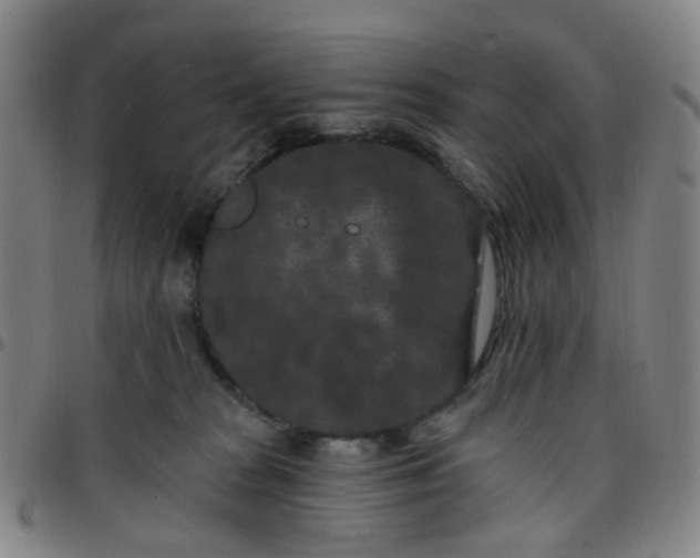 X0000097470277200803071700