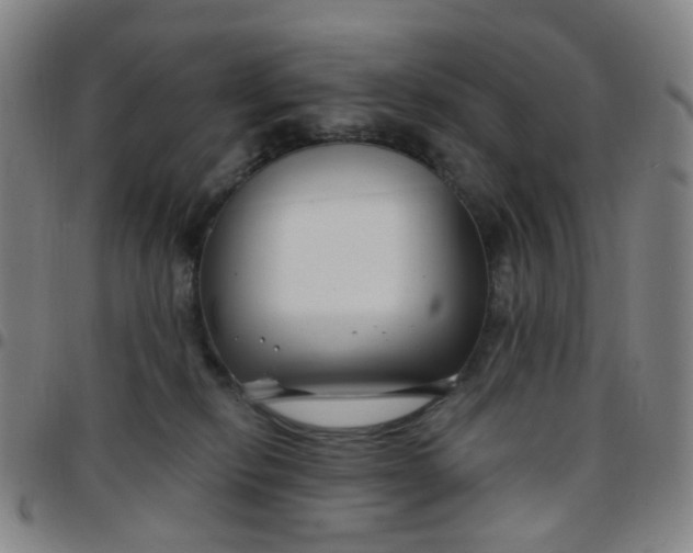 X0000097470278200803071700