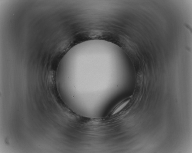 X0000097470280200803071700