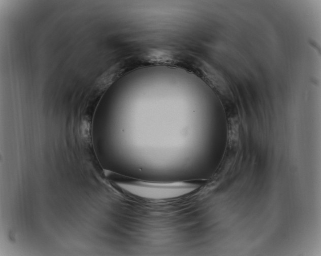 X0000097470281200803071700