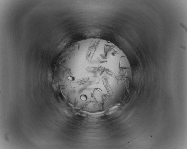 X0000097470282200803071700