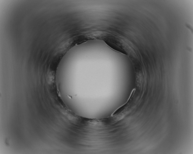 X0000097470284200803071700