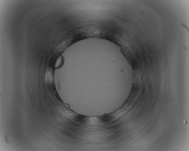 X0000097470287200803071700