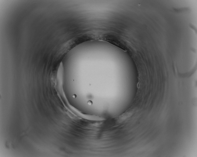 X0000097470288200803071700