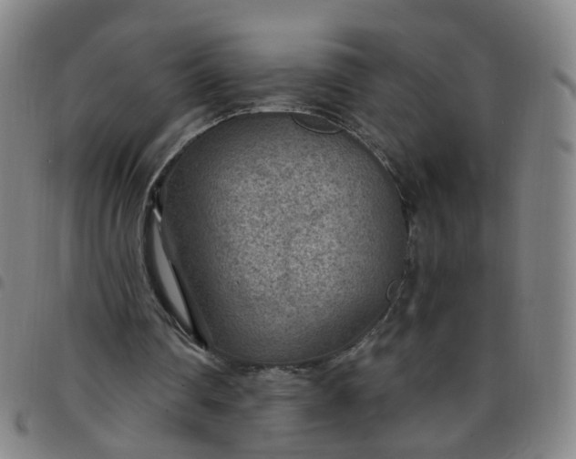 X0000097470290200803071700