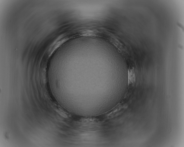 X0000097470291200803071700
