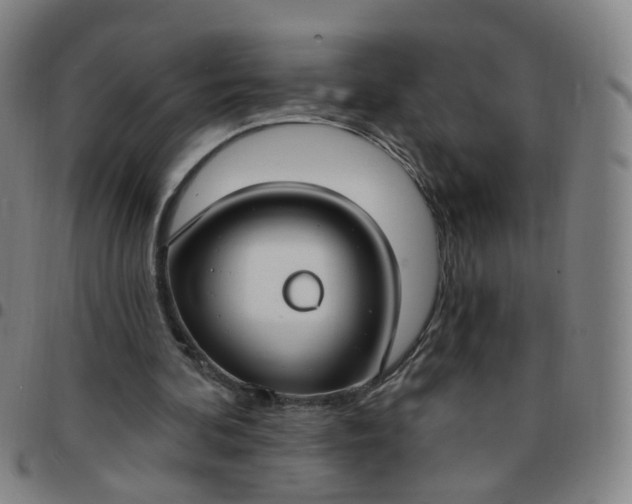 X0000097470292200803071700