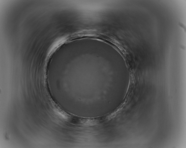 X0000097470293200803071700