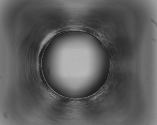 X0000097470294200803071700