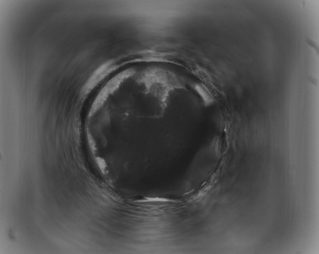 X0000097470295200803071700