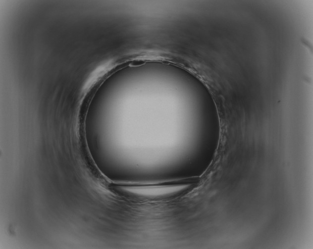 X0000097470296200803071700