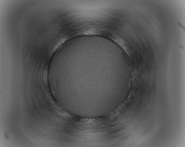 X0000097470297200803071700