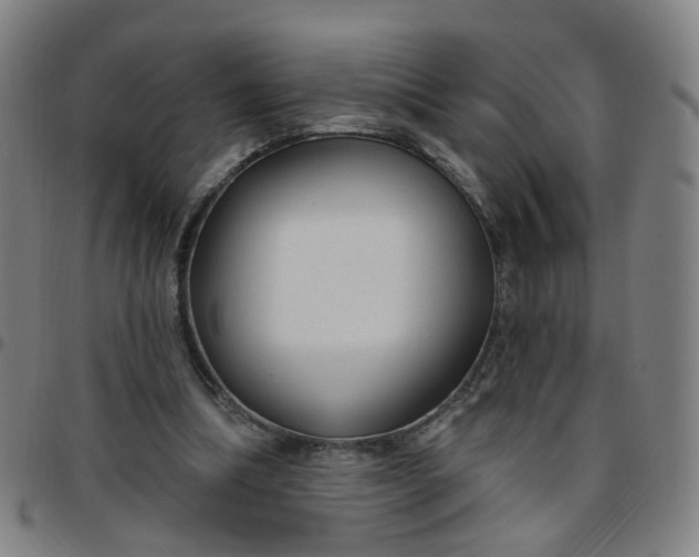 X0000097470298200803071700