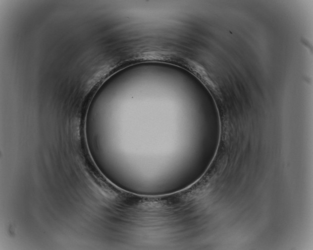 X0000097470299200803071700