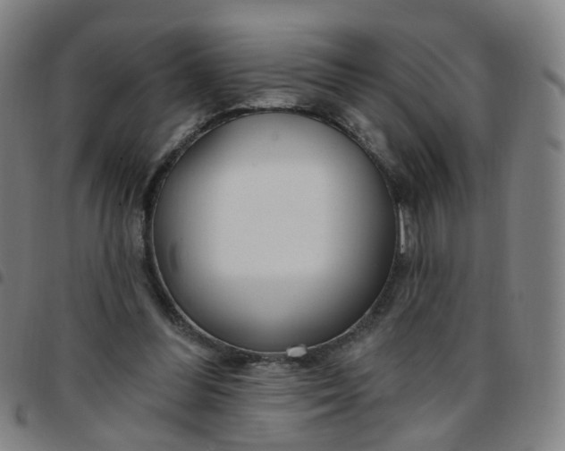 X0000097470300200803071659