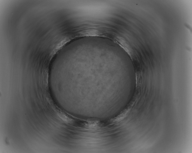 X0000097470301200803071659