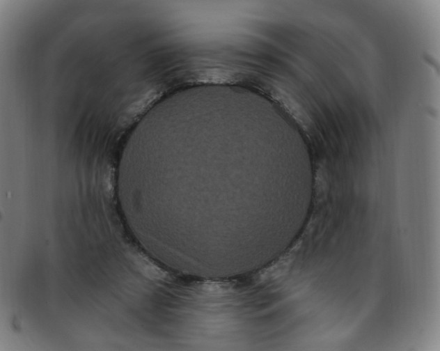 X0000097470305200803071659