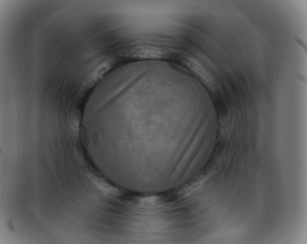 X0000097470309200803071659
