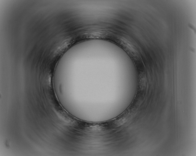 X0000097470310200803071659