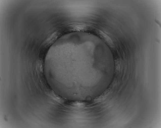 X0000097470313200803071659