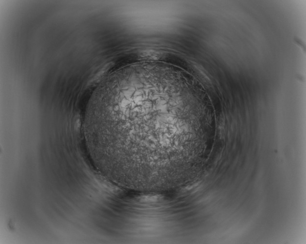 X0000097470314200803071659