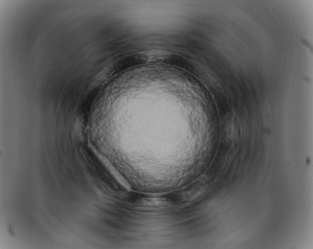 X0000097470316200803071659