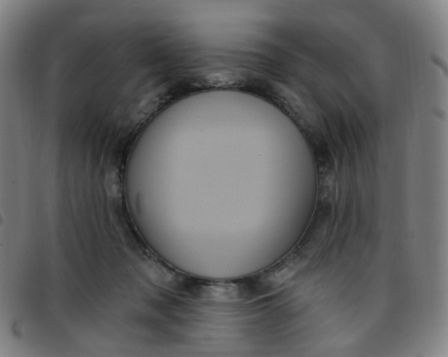 X0000097470317200803071659