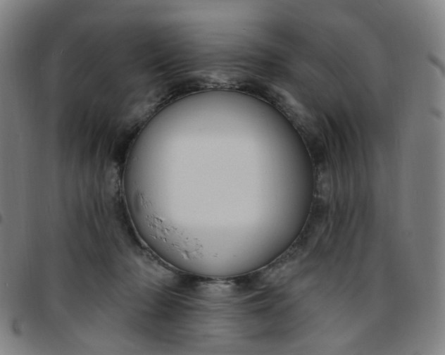 X0000097470318200803071659