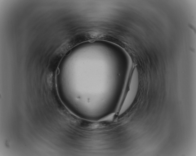 X0000097470319200803071659