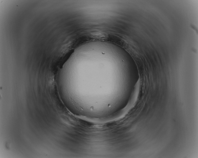 X0000097470320200803071659
