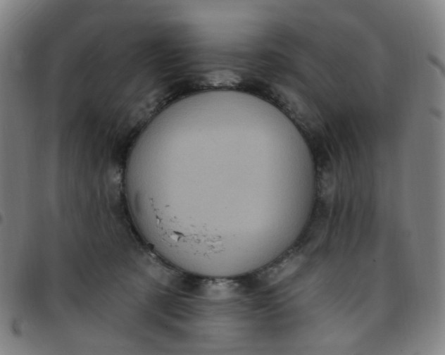 X0000097470321200803071659