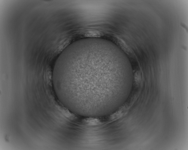X0000097470322200803071659