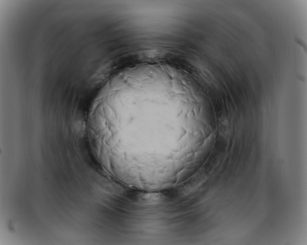 X0000097470324200803071659