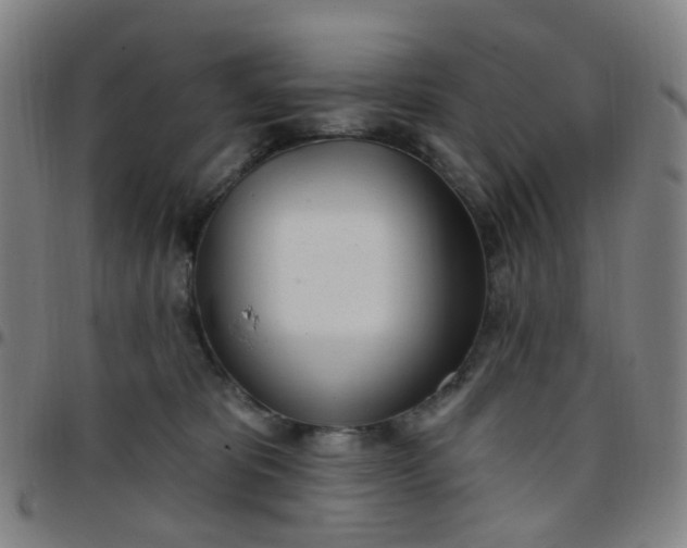 X0000097470325200803071659