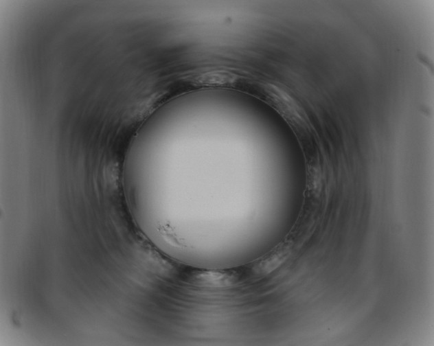 X0000097470326200803071659