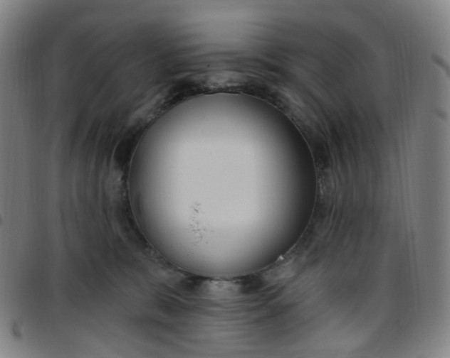 X0000097470327200803071659