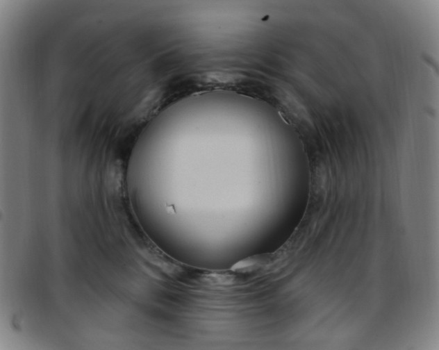 X0000097470328200803071659