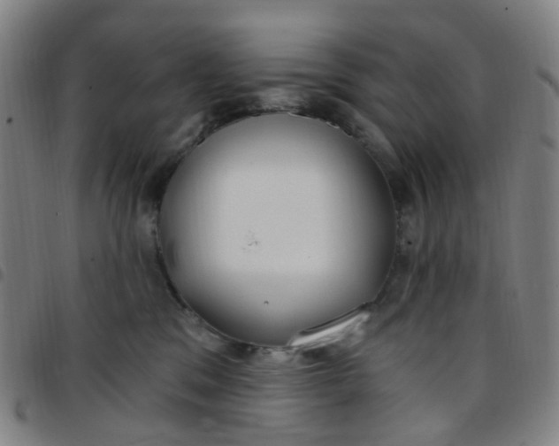 X0000097470329200803071659