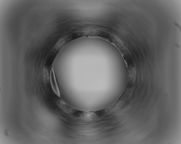 X0000097470333200803071659