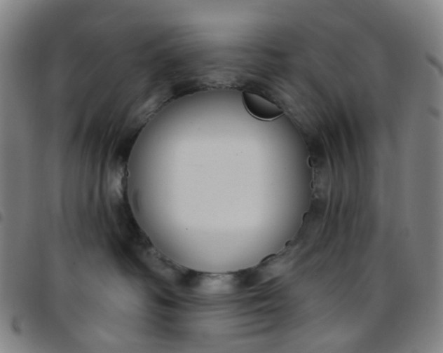 X0000097470334200803071659