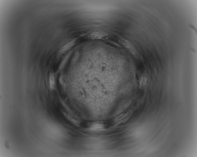 X0000097470335200803071659