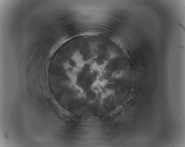 X0000097470337200803071658