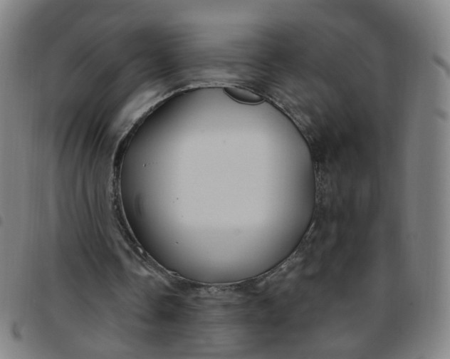 X0000097470338200803071658