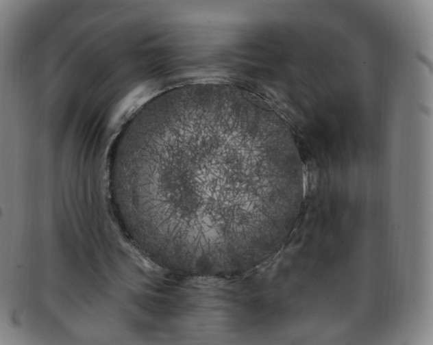 X0000097470339200803071658