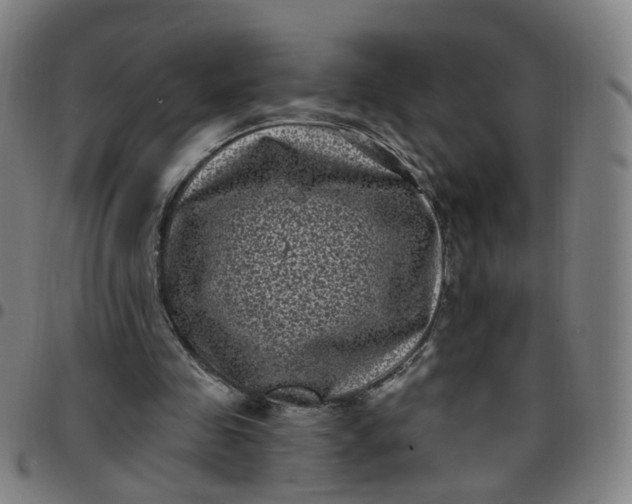 X0000097470341200803071658